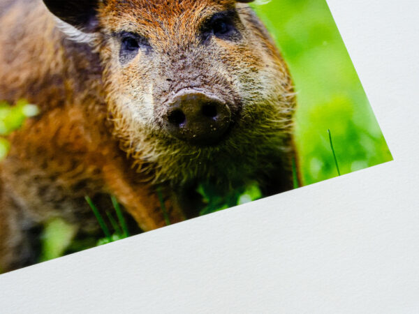 Afventer varebillede