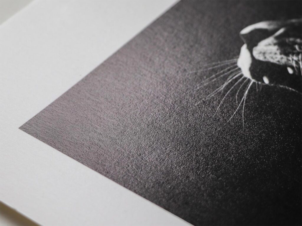 Prints på FineArt papir