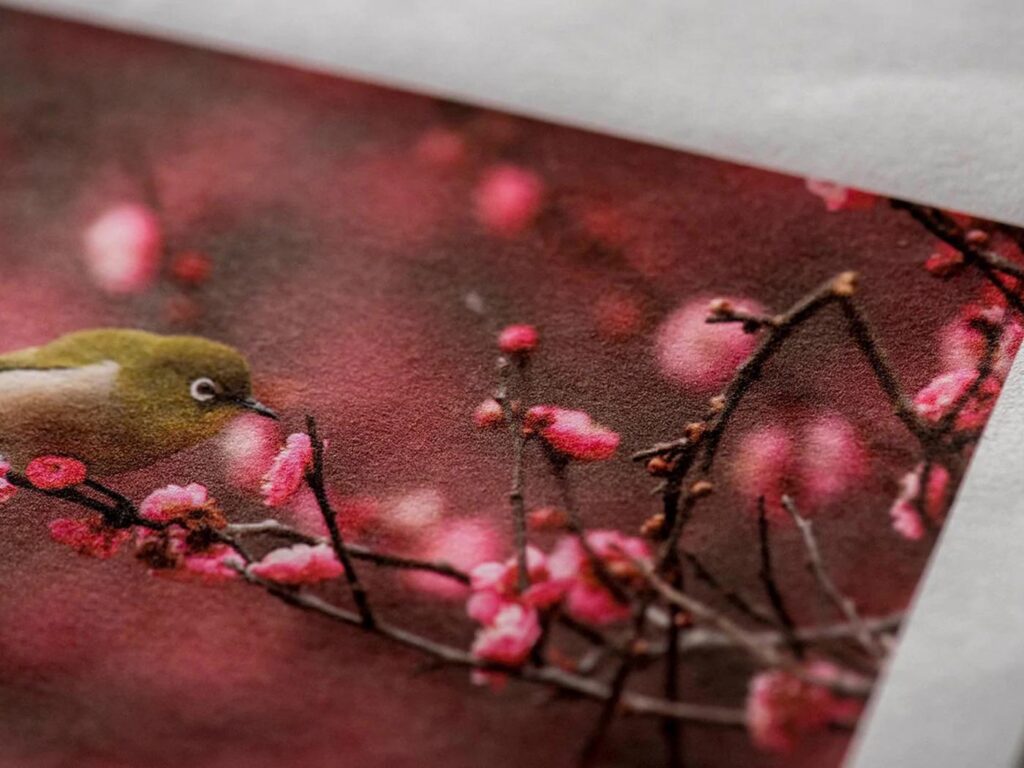 Tryk på Awagami japansk papir