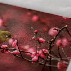 Tryk på Awagami japansk papir