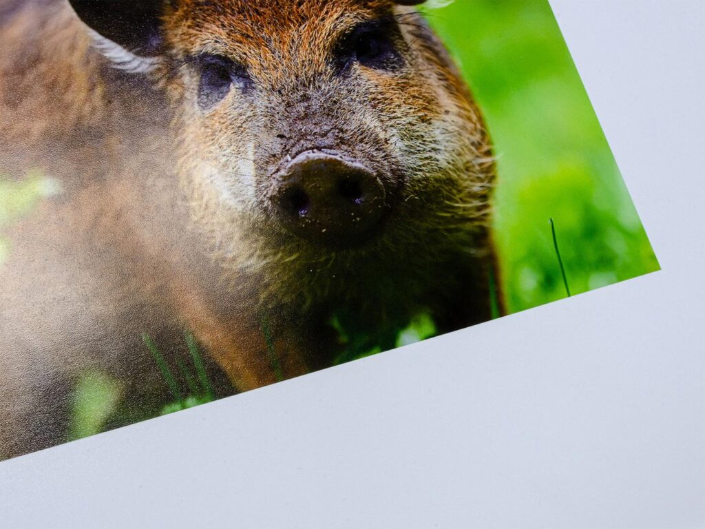 Print på klassisk fotopapir