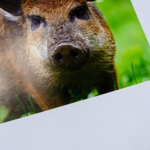 Print på klassisk fotopapir