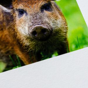 Print på Velvet- eller FineArt-papir