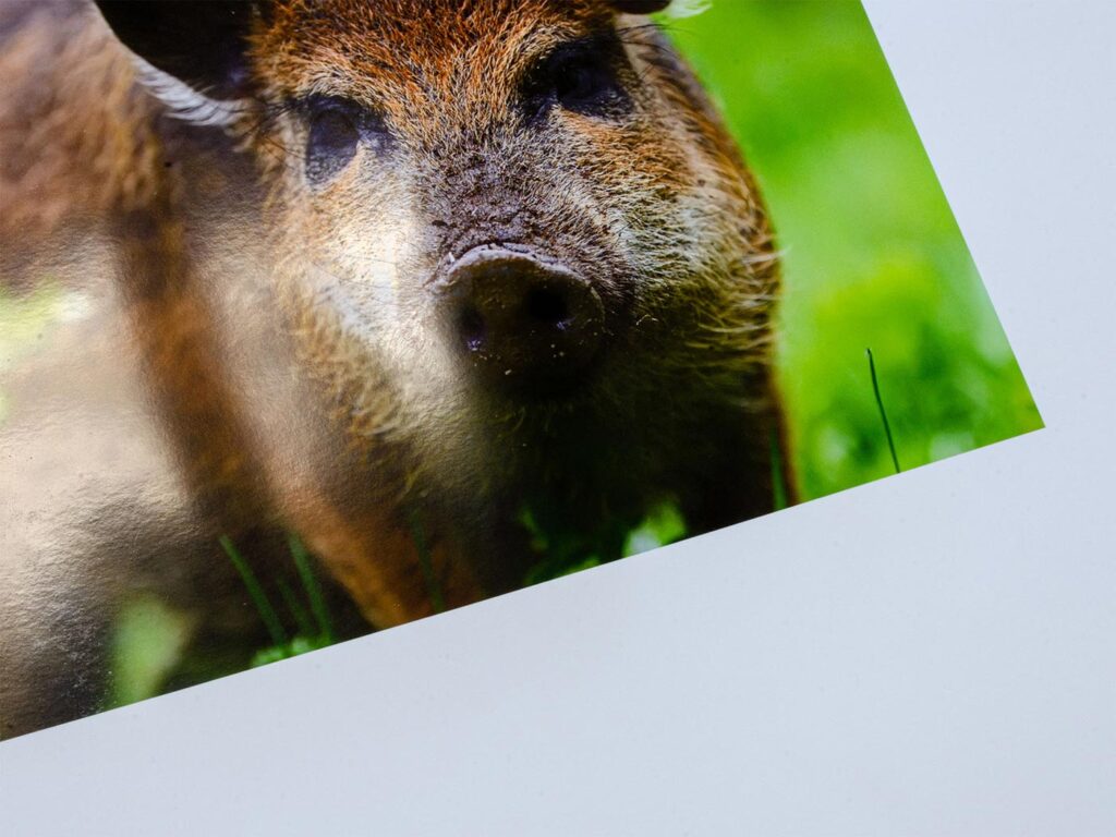 Print på klassisk fotopapir