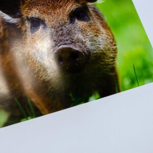 Print på klassisk fotopapir