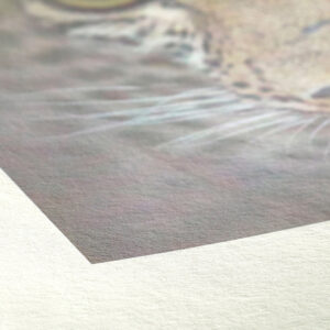 Utskrifter på FineArt-papper