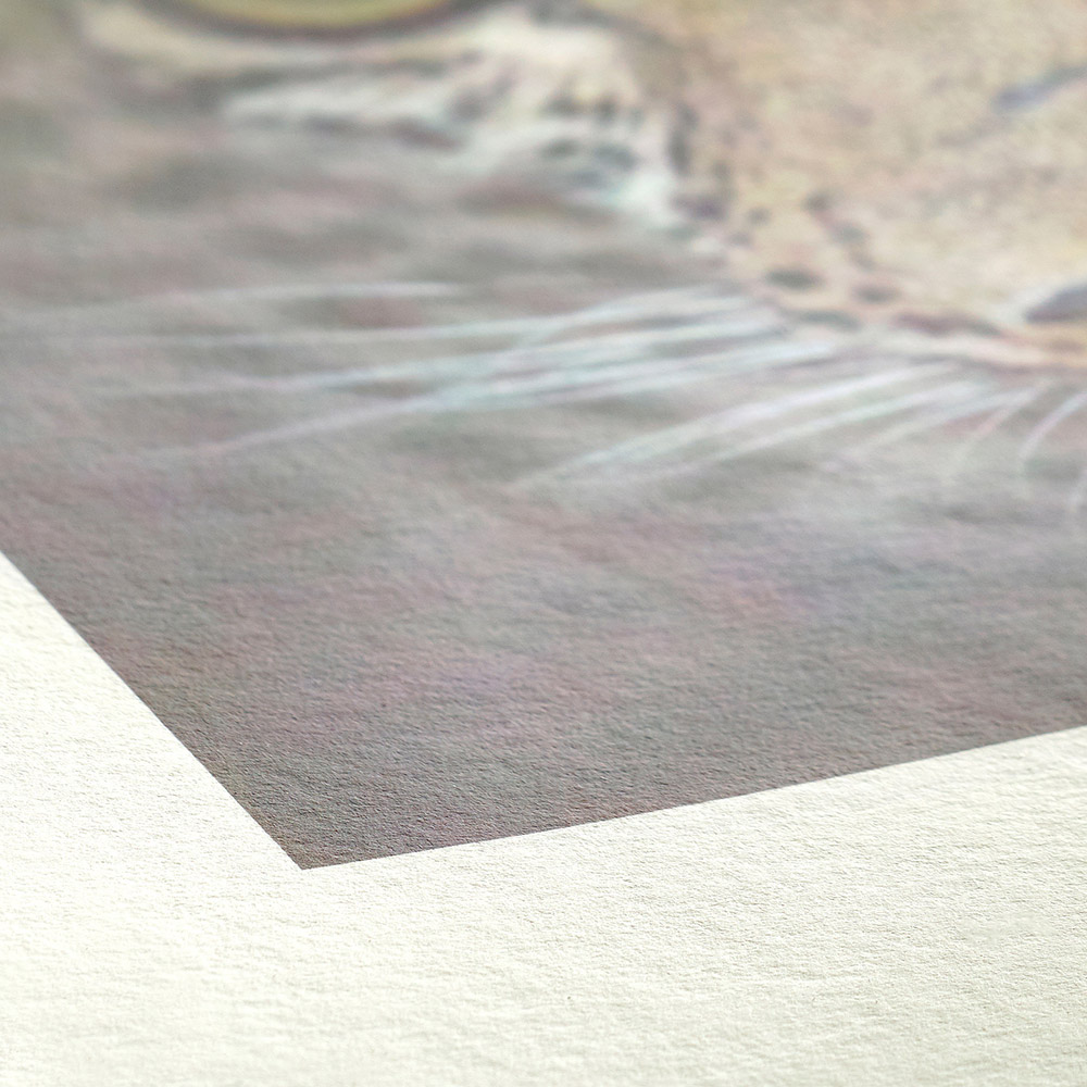 Prints på FineArt papir