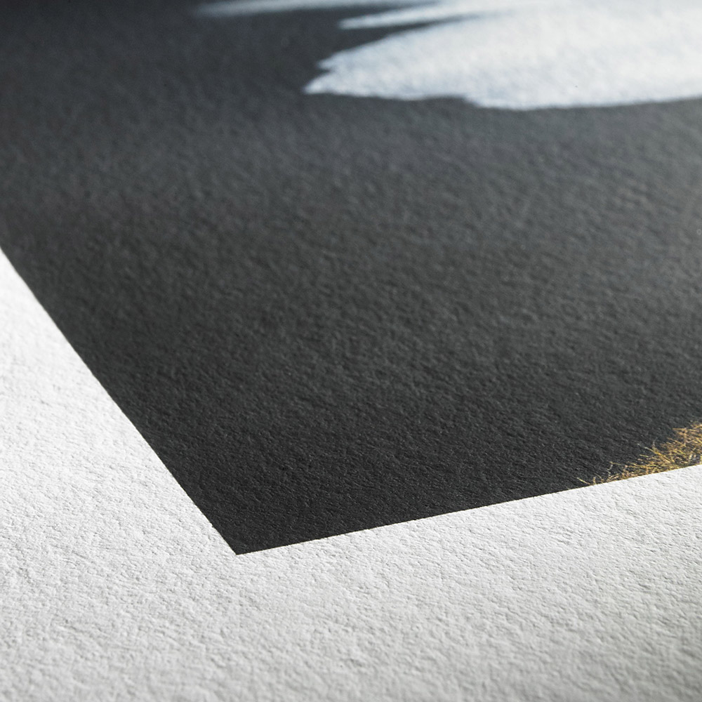 Prints på FineArt papir