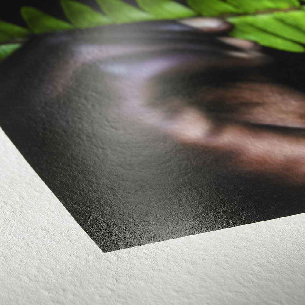 Prints på FineArt papir