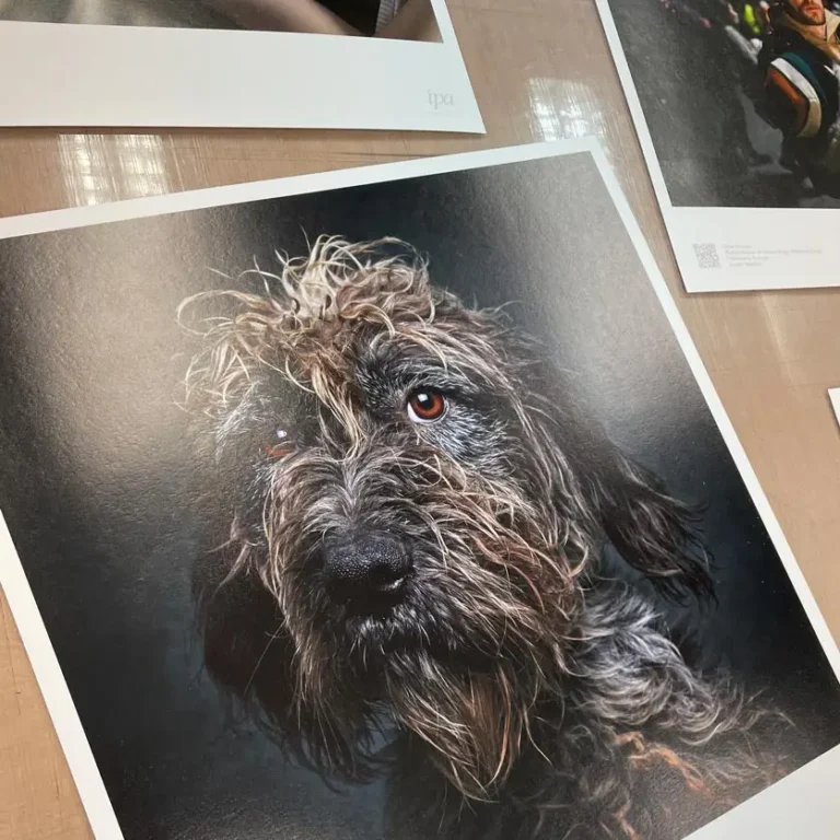 fine-art print Oslo - giclée on Hahnemühle