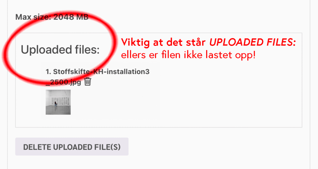 Det er vigtigt, at der står UPLOADED FILES: ellers bliver filen ikke uploadet!
