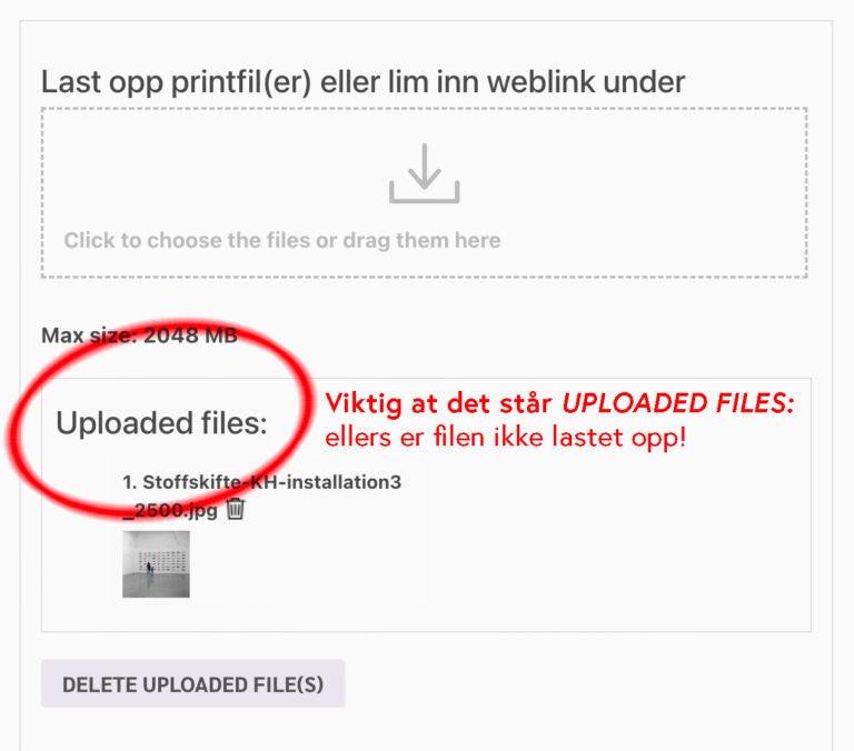 Det er vigtigt, at der står UPLOADED FILES: ellers bliver filen ikke uploadet!